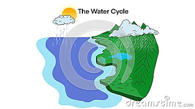 The water cycle diagram, representation of the water cycle in nature, Water process on Earth, Hydrologic cycle Stock Photo